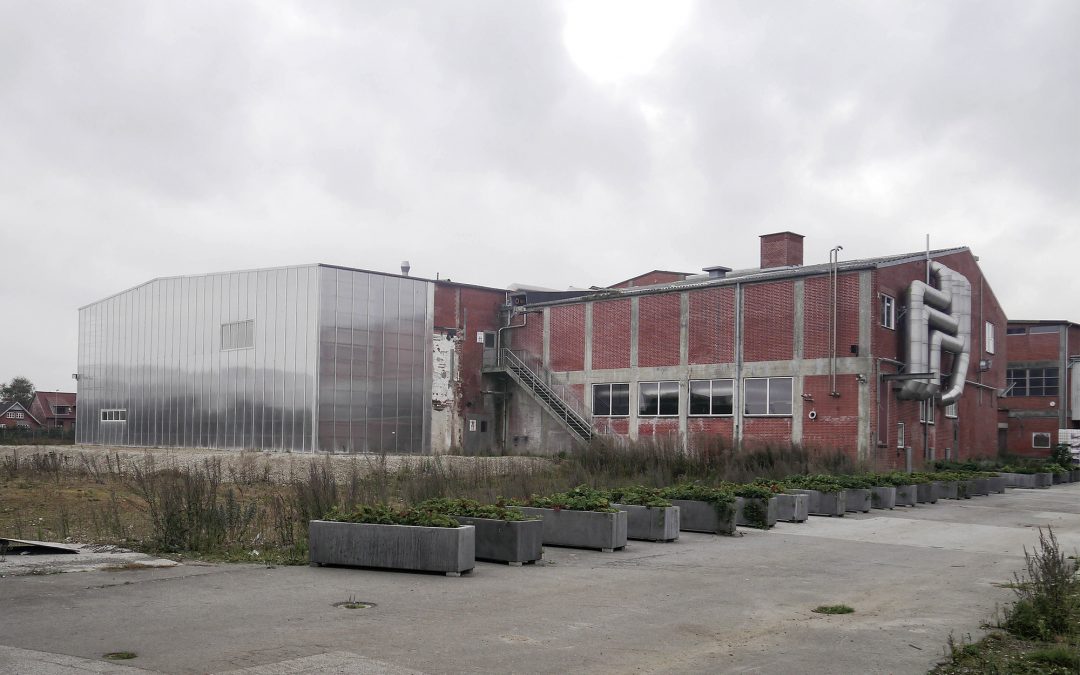 Holstebro slaughterhouse