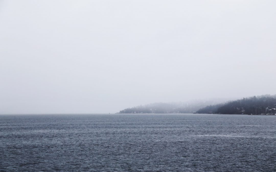 We are developing the suburb of the future in a Norwegian peninsula