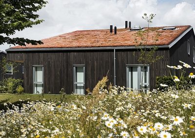 Wooden Houses Jyllinge