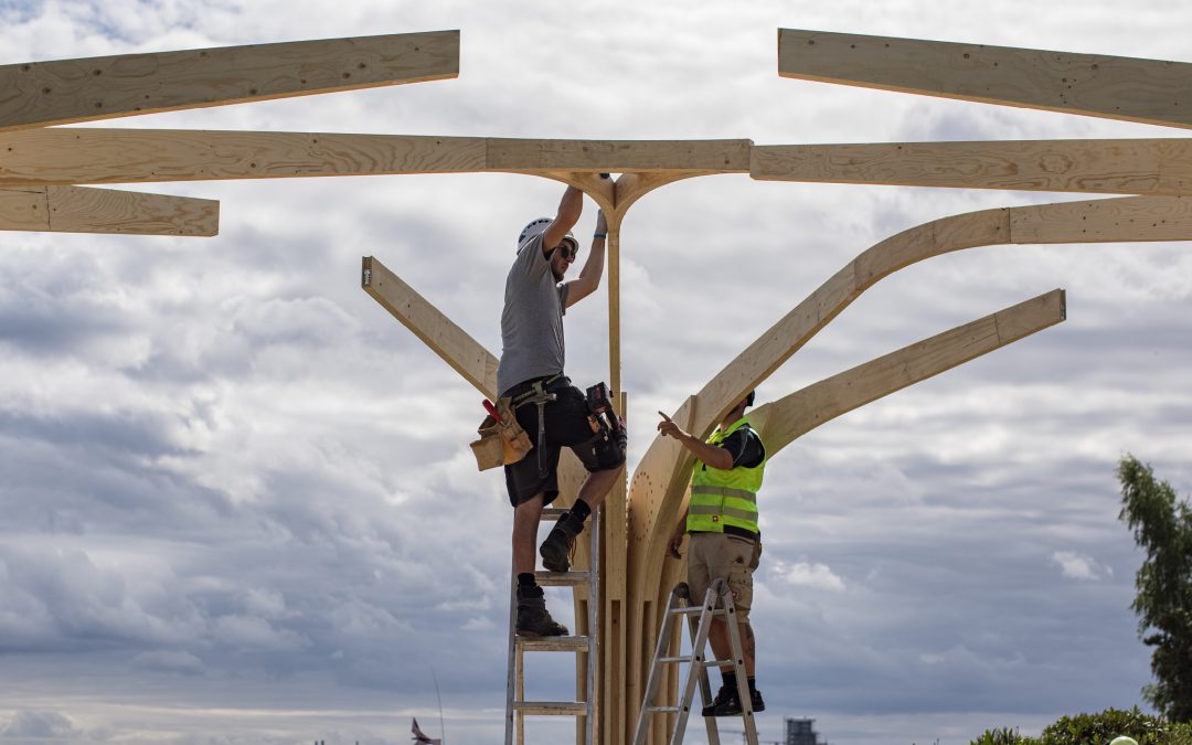 Designed for Dissasembly: Into the Woods Pavilion is changing location