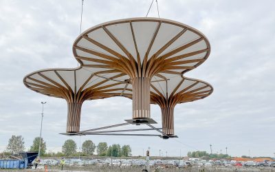 The (Flying) Wooden Pavilion